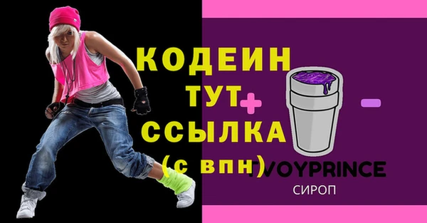 спиды Пестово