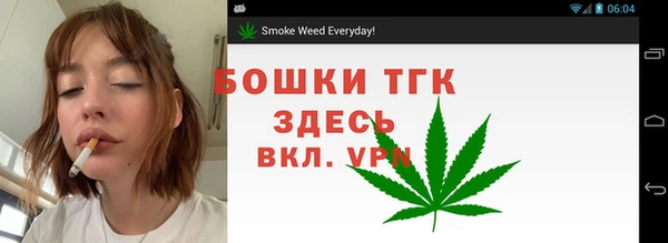 не бодяженный Пересвет